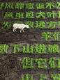 作品来件  让诗歌回到肠胃