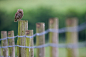 Photograph WAKE UP! by Mark Bridger on 500px