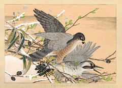 就这个画画爽采集到国风｜水墨