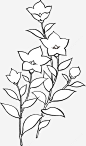手绘装饰线描花朵叶子物图图标高清素材 素材 设计图片 页面网页 平面电商 创意素材 png素材