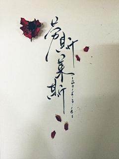 線寻歡采集到字
