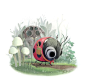 sydwiki: “ Little Red Riding Bug and the Big Bad Wolf Spider. ”: 