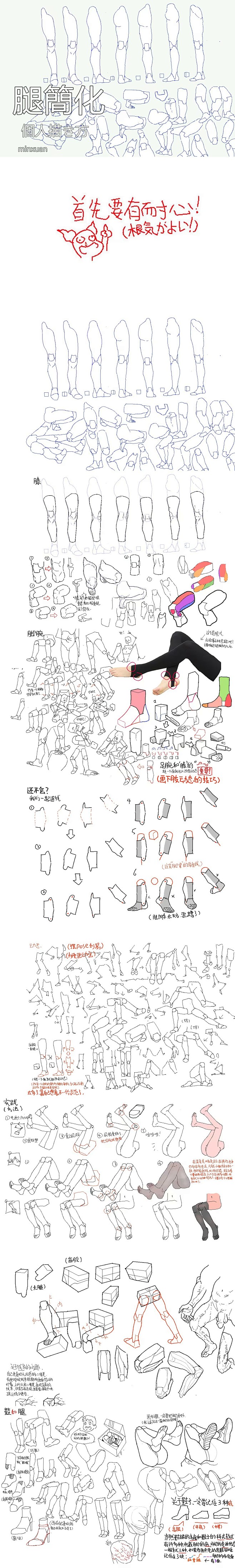 人体结构简化归纳总结