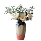 盆栽png-北欧植物-透明素材植物-花瓶花瓶居家装饰绿植-免抠素材