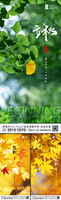 立秋节气系列海报-源文件
