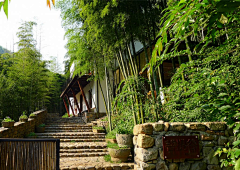 NOBODYCARES采集到乡村