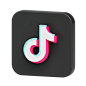 Tiktok Logo 3D Illustration