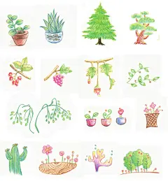 简笔画5000例 一本就够（色铅笔卷） - Part 4 植物 - 涂涂猫 编著 - 微信读书