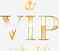 金色华丽VIP艺术字 页面网页 平面电商 创意素材
