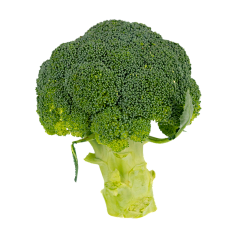 可哇抱抱采集到食物 png