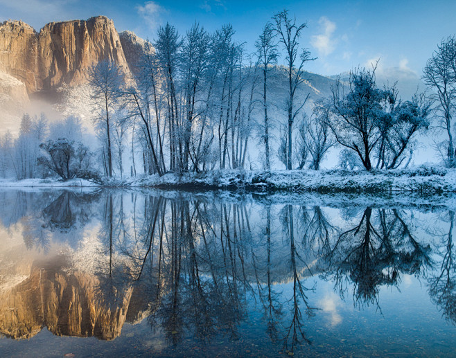 Winter Reflections