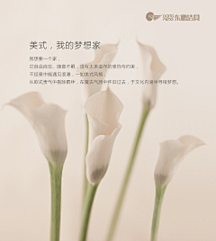 休莫言采集到作品集