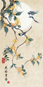 就要全城桂花飘香了_画画的青禾__插画师作品_涂鸦王国gracg.com