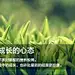 非凡人生、