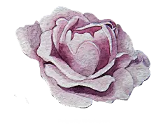 手绘花 蝴蝶 叶子 花环 钻石 花瓣 png素材