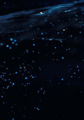 GIF动态 (1)