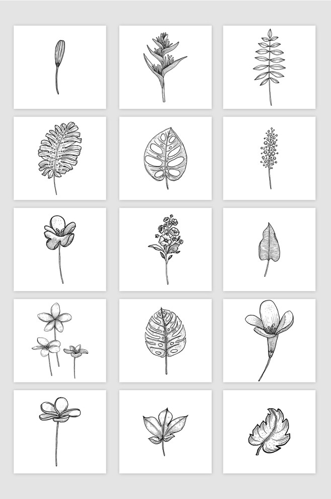 15款矢量手绘速写植物花卉元素