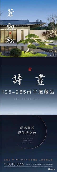 月到风来--采集到长图