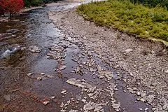 溪水奔流而过，山脚下有一片秋林