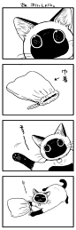 分享一张来自P站的图片:カバンねこ。その４４ https://itunes.apple.com/us/app/p-zhan-zhu-shou/id1123422147?l=zh&ls=1&mt=8