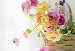 超好看电脑桌面壁纸_百度图片搜索