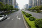 喜报！江干区两处道路绿地获全市荣誉称号！