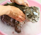 貓咪美容：毛髮清潔及洗澡步驟
http://petbird.tw/article7080.html
導讀：貓咪是很愛乾淨的動物，從牠的行為即可發現，貓時常舔自已的毛髮，其實那是在清潔梳理，如果環境或身上不乾淨，貓的情緒也易有起伏，容易鬧脾氣，關於如何幫貓咪做好清潔及洗澡步驟，以下文章一起了解。