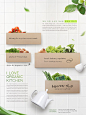 创意瓜果蔬菜美食食材水果鸡蛋青菜早餐营养海报PSD设计分层素材
