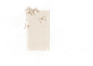 8ef245bf-286f-47d2-9139-e85fa795c70f (800×572)