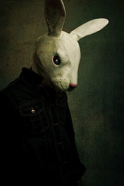 Animal mask/Anti Fas...