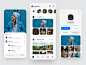 Unsplash App by Amir Moradi on Dribbble