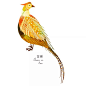 朋友圈被这组24节气图刷屏了