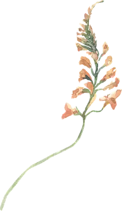 2e725f8d16546b83f46d9749a5a82c6d3e94b7d035d026-0V69rT_fw1200