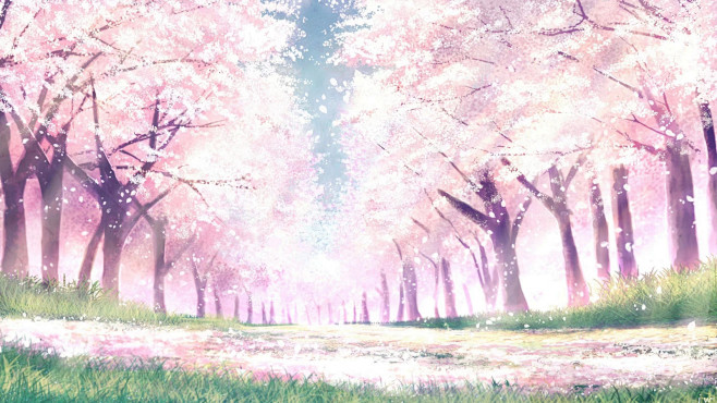 Park, spring, Sakura
