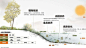 AECOM设计-生态因子-低碳开发-人工湿地-某城市公园景观方案