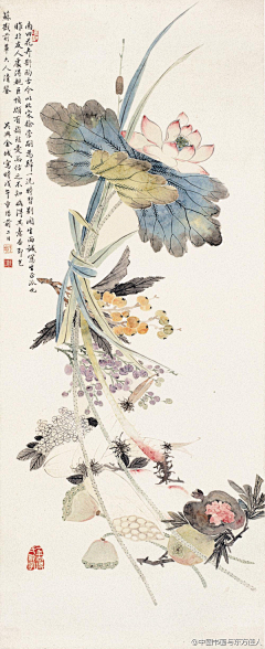 夏星梦采集到绘画——花鸟虫鱼