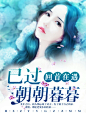 现言小说封面