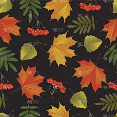 无缝背景与秋叶