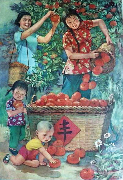 满林红桔喜丰收