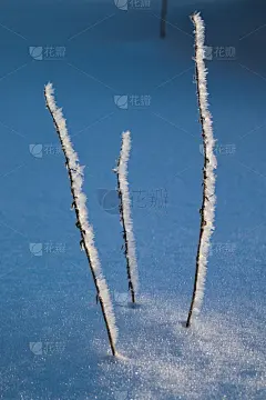 冬天冰雪场景