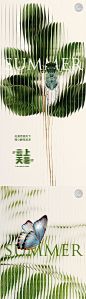 小暑