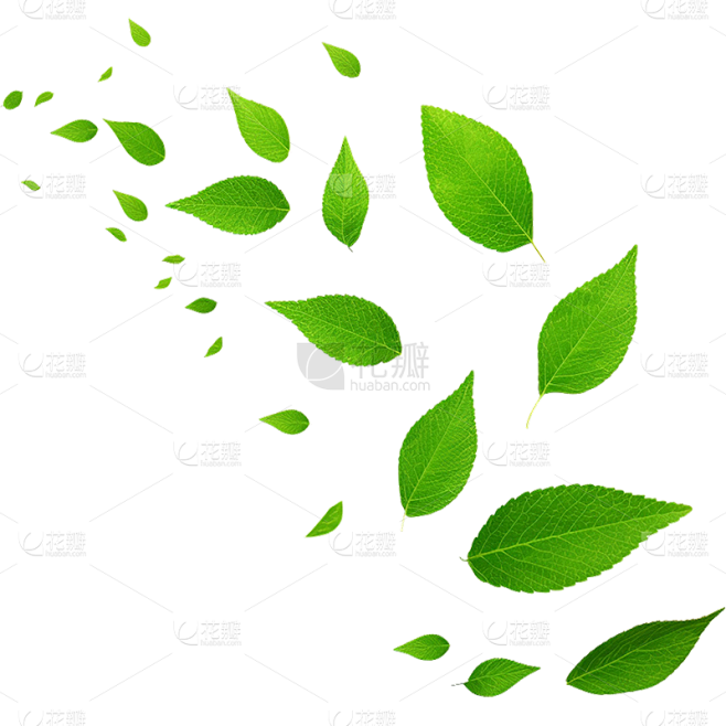 通用绿色树叶植物叶子元素贴纸