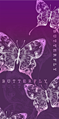 紫燕尾蝶
