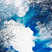 狐狸公子灯夜乐游春
