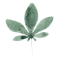 手绘水彩DIY花卉植物叶子免扣PNG透明背景图案 AI印刷矢量PS素材 (54)