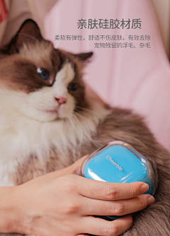 南山小辩手采集到【产品】宠物用品