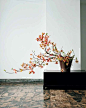 Japanese Ikebana for Every Season: .: Yuji Ueno, Rie Imai, Noboru Murata: 9784805312124: Amazon.com: Books