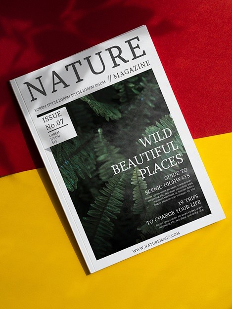 野外美丽的地方自然杂志模拟免费Psd