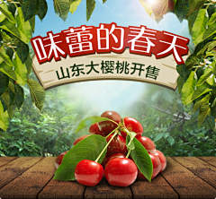 Yvonne_Designer采集到个人作品