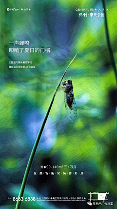 碾尘泥采集到绘画